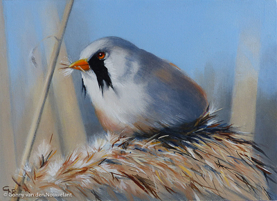 Gonny van den Nouwelant