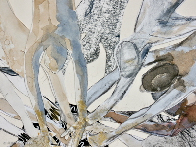 Hanneke Wessels